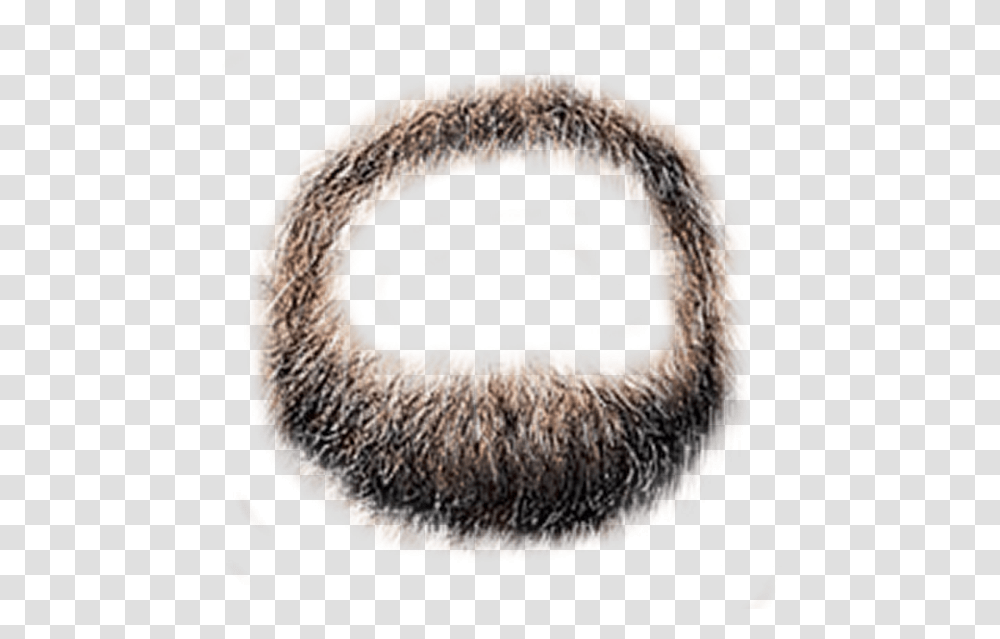 Hd Mexican Hair Styles Beard, Plant, Rug, Face, Photography Transparent Png