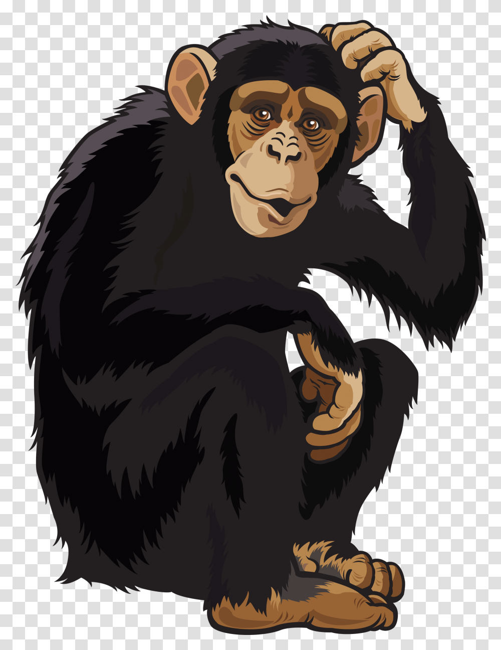 Hd Monkey Chimpanzee Clipart, Ape, Wildlife, Mammal, Animal Transparent Png
