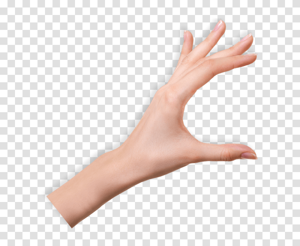 Hd Of Hands Hd Of Hands Images, Wrist, Person, Human, Finger Transparent Png