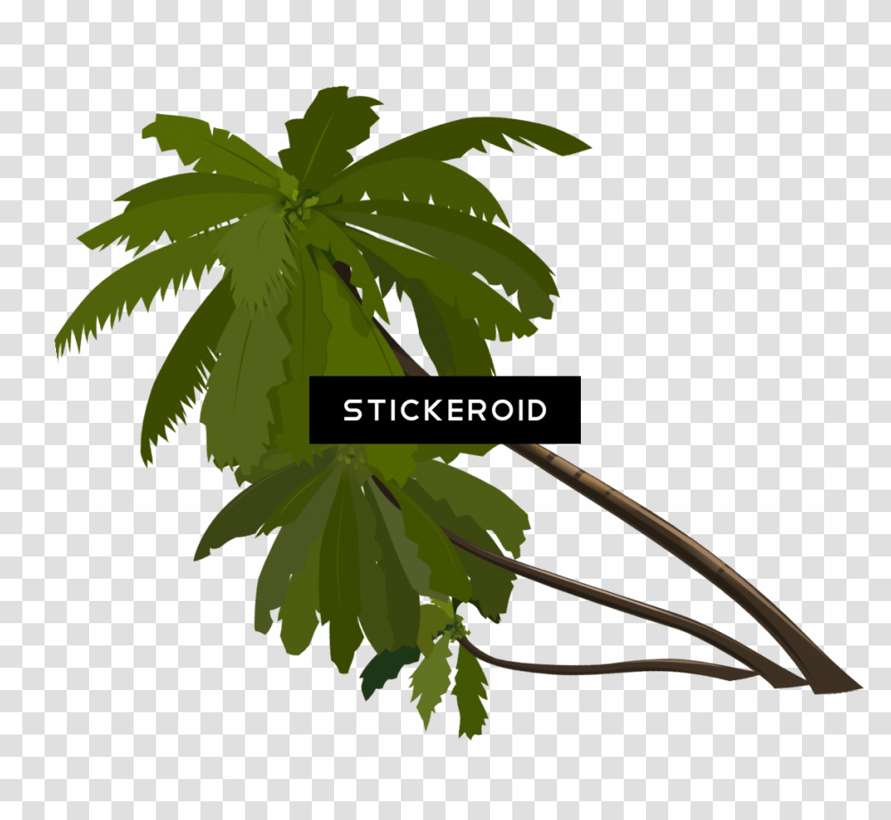 Hd Palm Tree, Plant, Leaf, Arecaceae, Green Transparent Png