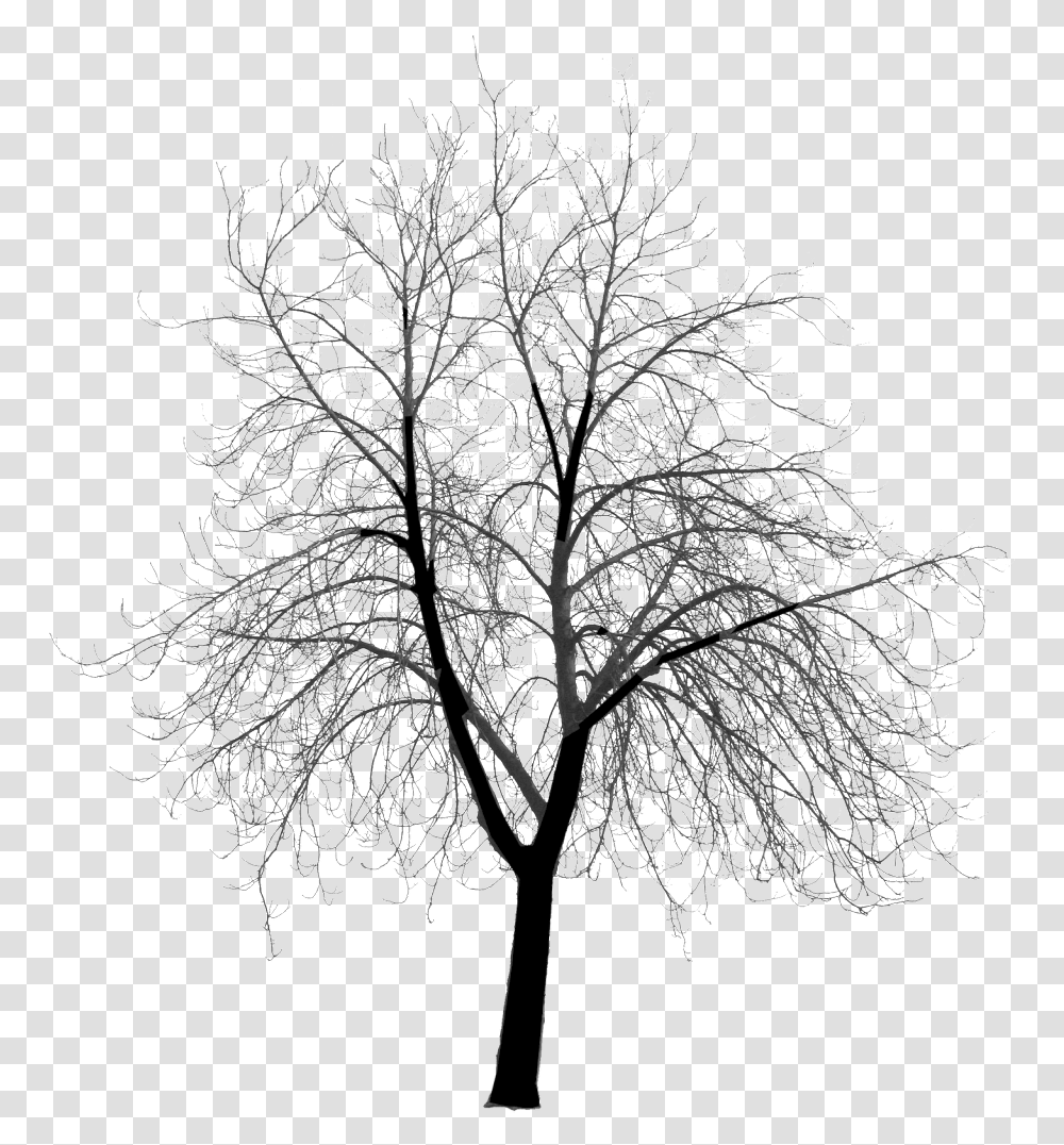 Hd Photo Clickhandler 2351 1 Architecture Silhouette Tree, Plant, Nature, Outdoors, Ice Transparent Png
