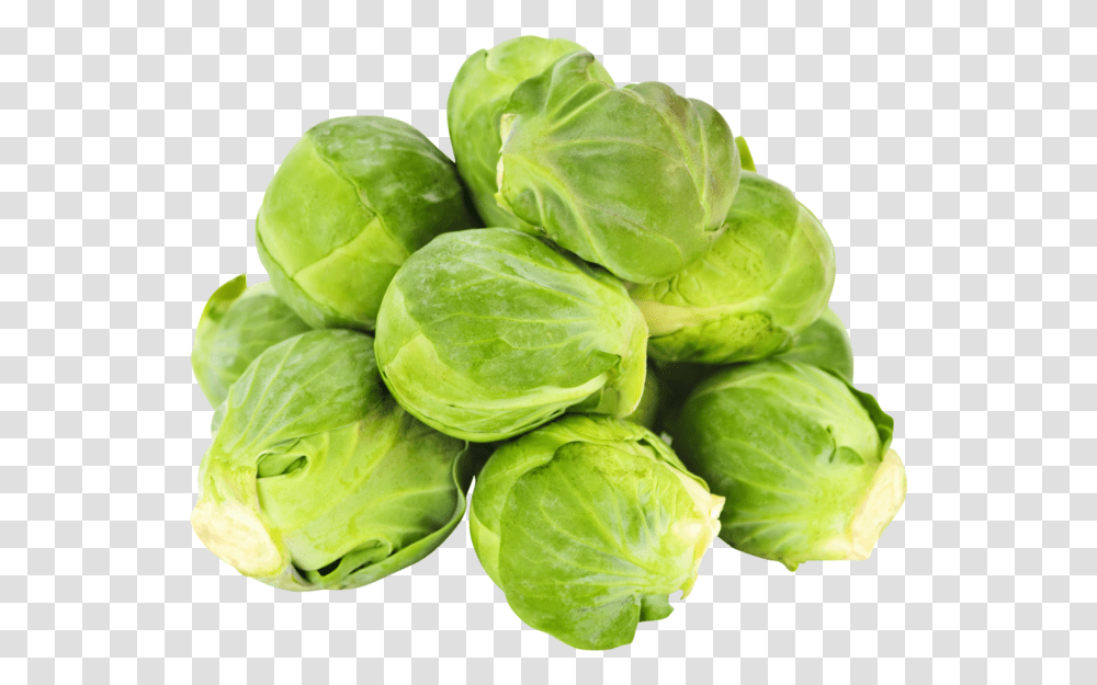 Hd Photos Of Brussels Sprouts, Plant, Cabbage, Vegetable, Food Transparent Png