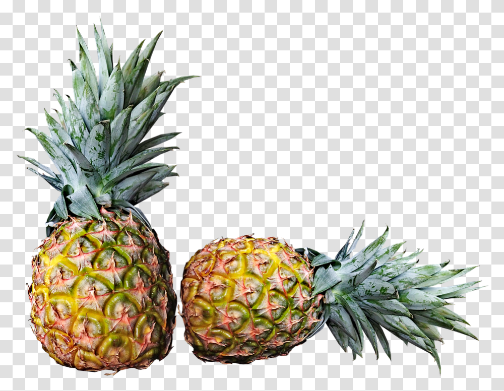 Hd Pineapples Fruit Fresh Tropical Pixabay Free Images Pineapple Fruits, Plant, Food Transparent Png