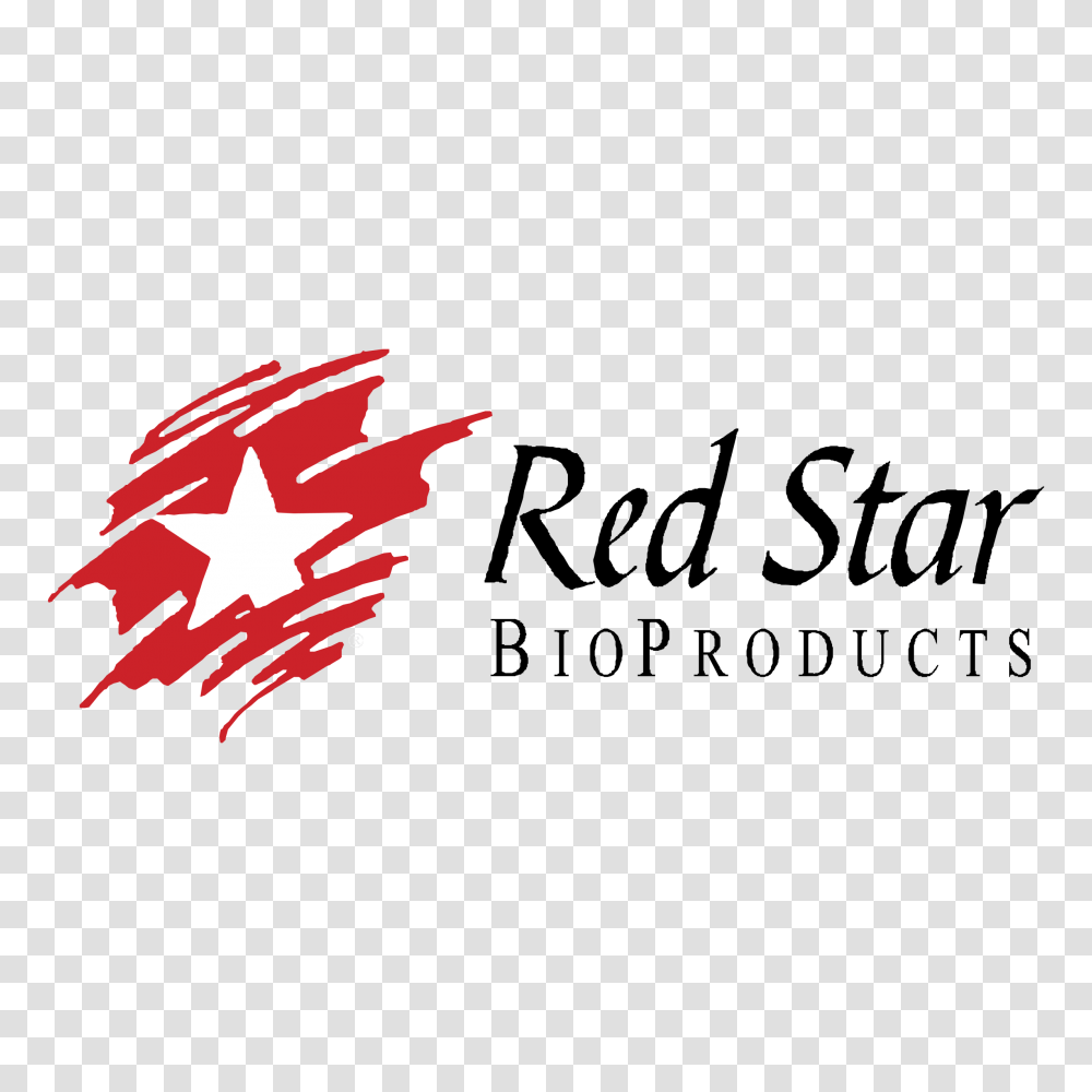 Hd Red Star Logo Calligraphy, Leaf, Plant, Tree, Maple Leaf Transparent Png