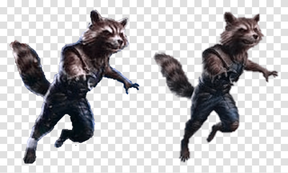 Hd Rocket Raccoon, Animal, Mammal, Person, Pet Transparent Png