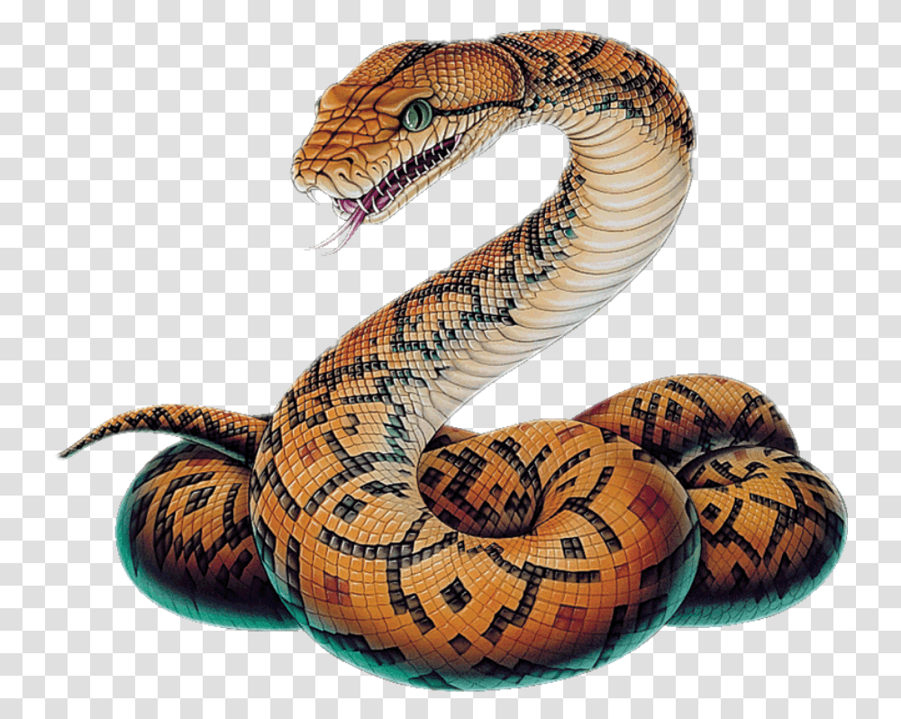 Hd Snake Clipart Boa Snake, Reptile, Animal, Turtle, Sea Life Transparent Png