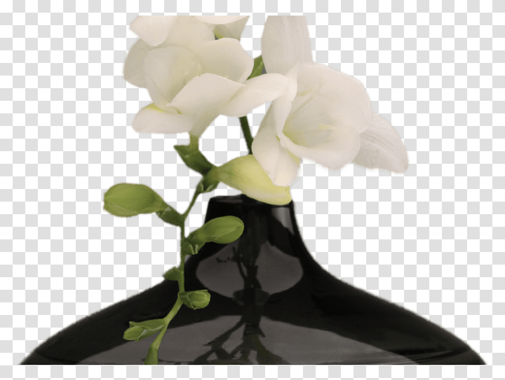 Hd Vase Of Flowers Hd Vase Of Flowerspng Black Vase With Flowers, Plant, Blossom, Ikebana Transparent Png