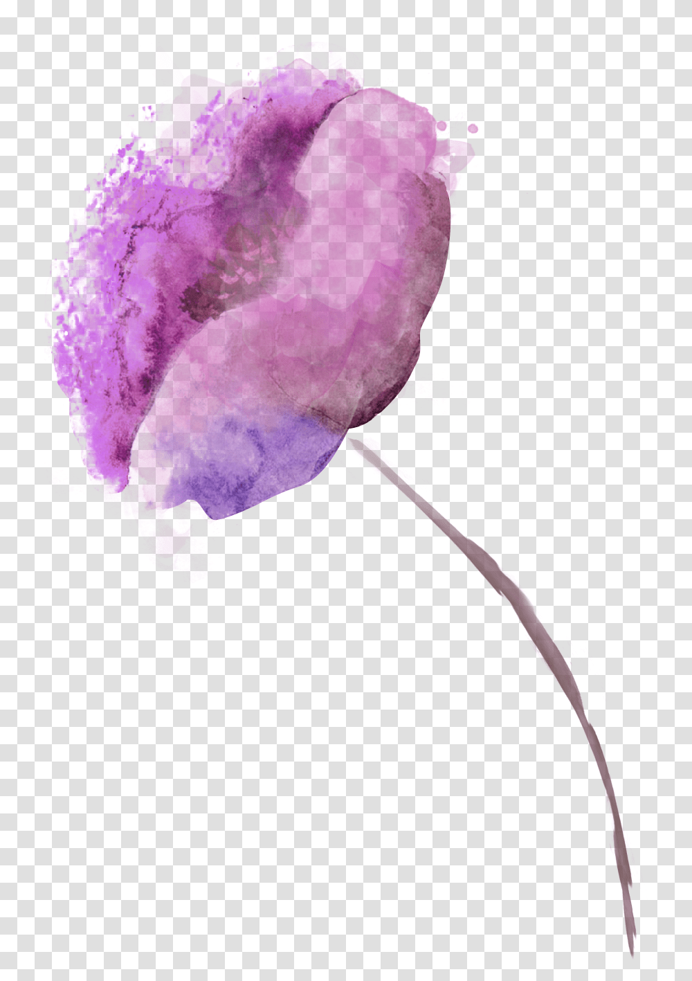 Hd Violet Free Unlimited Download Violetpng, Rose, Flower, Plant, Blossom Transparent Png