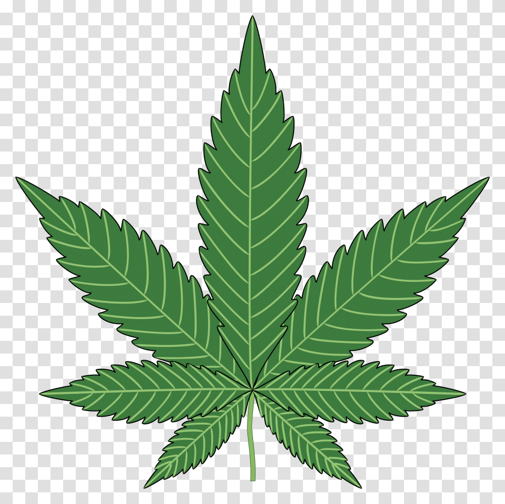 Hd Weed Cannabis, Leaf, Plant, Hemp Transparent Png
