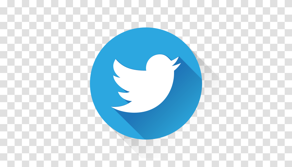 Hd White Twitter Icon Images Logo Twitter 2019, Animal, Bird, Text, Graphics Transparent Png