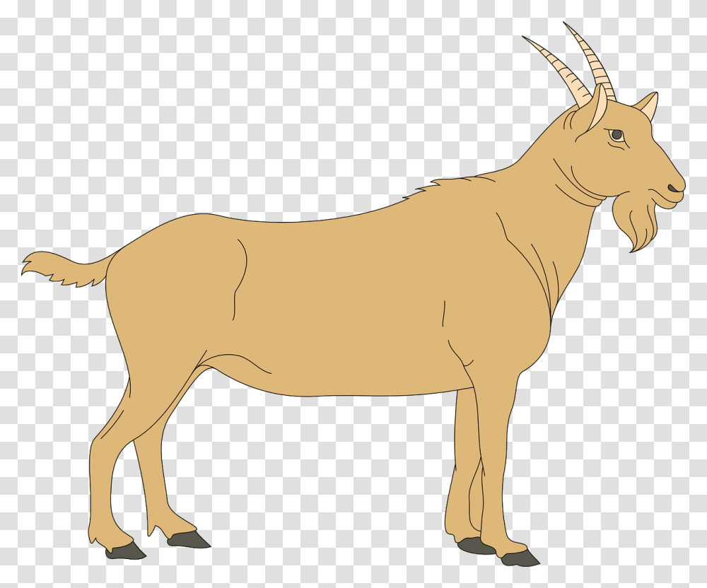 He Goat Clipart, Antelope, Wildlife, Mammal, Animal Transparent Png