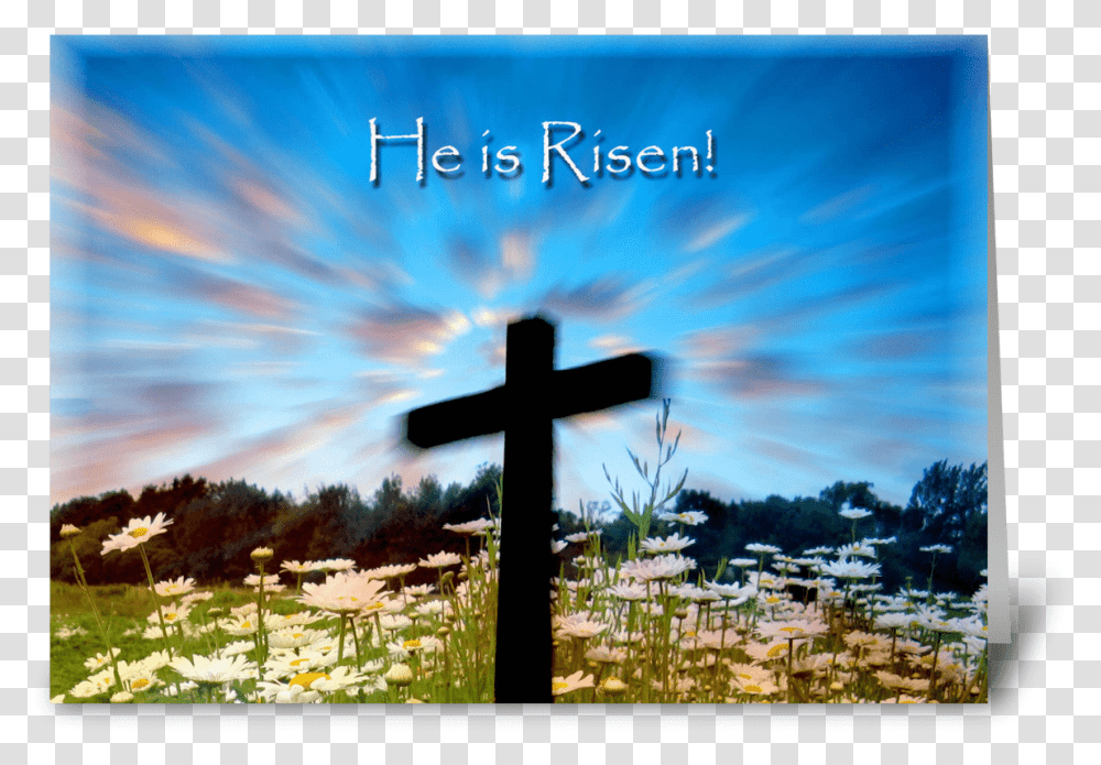 He Is Risen Greeting Card Easter Cross, Outdoors, Flower, Plant Transparent Png