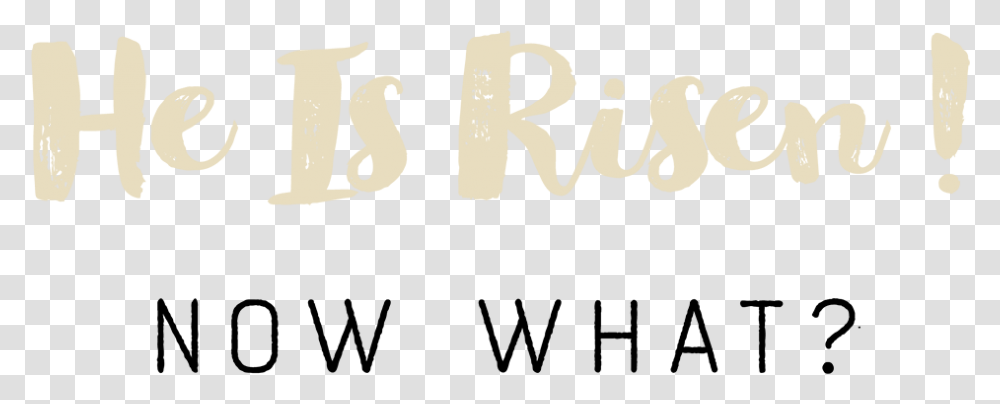 He Is Risen Now What Calligraphy, Handwriting, Alphabet, Penguin Transparent Png