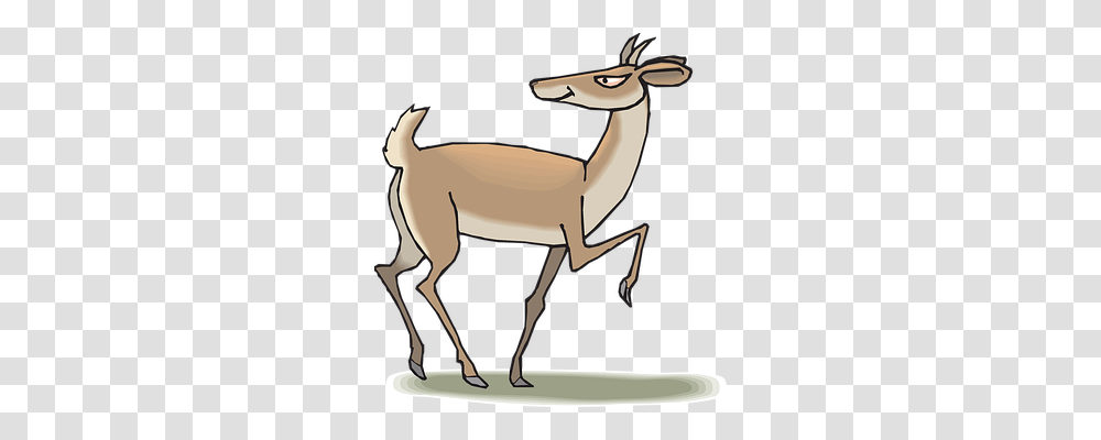 Head Animals, Antelope, Wildlife, Mammal Transparent Png