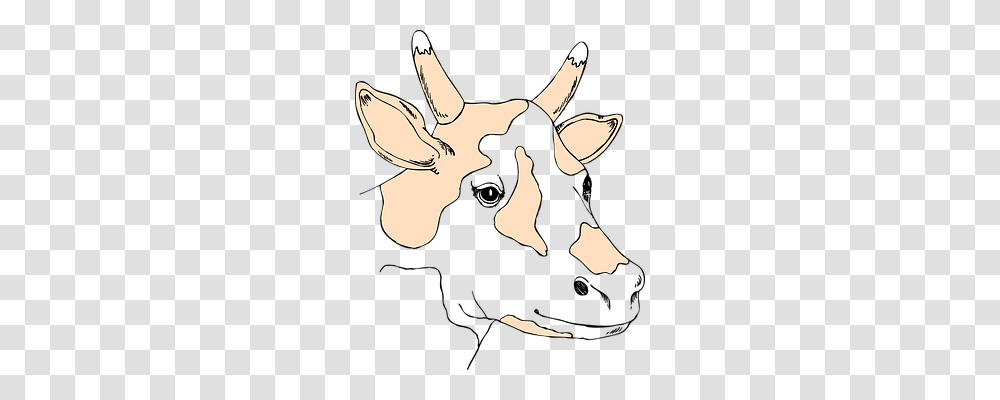 Head Animals, Mammal, Wildlife, Deer Transparent Png