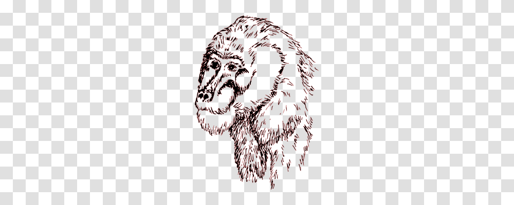 Head Animals, Dragon, Pattern, Drawing Transparent Png