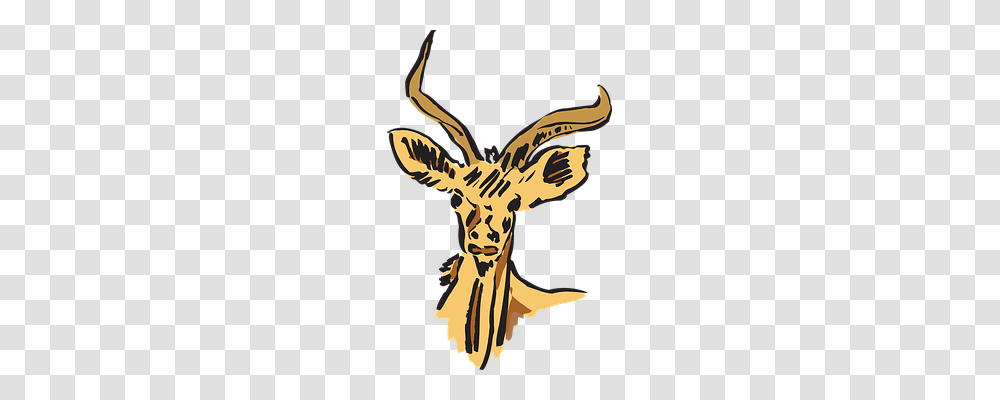 Head Nature, Mammal, Animal, Giraffe Transparent Png