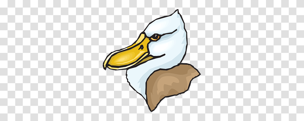 Head Animals, Beak, Bird, Albatross Transparent Png