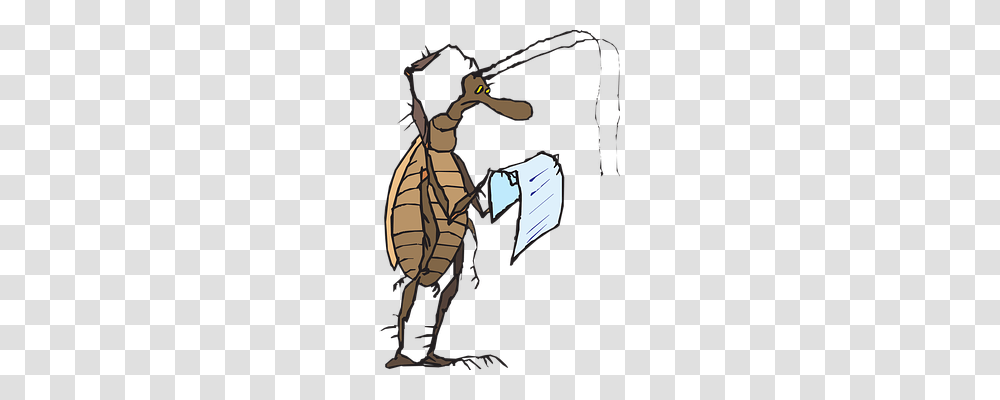 Head Animals, Insect, Invertebrate, Outdoors Transparent Png