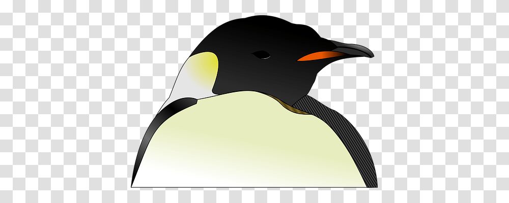 Head Animals, Bird, King Penguin Transparent Png