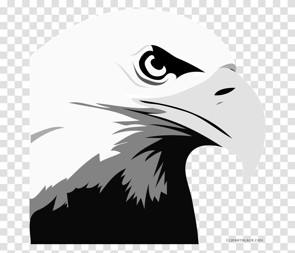 Head Animal Free Black White Images Clipartblack Bald Eagle Clipart, Bird, Beak, Helmet Transparent Png