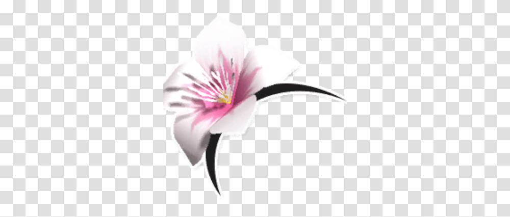 Head Blossom Garden Paws Wiki Fandom Artificial Flower, Plant, Lily, Petal, Person Transparent Png