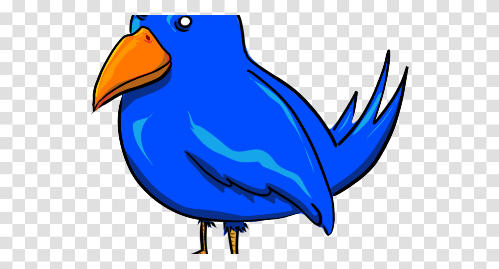 Head Clipart Blue Jay Blue Bird Clip Art, Animal, Beak, Finch, Canary Transparent Png