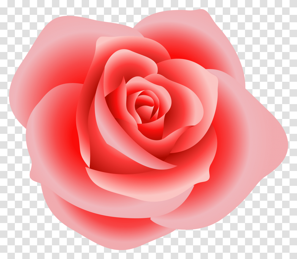 Head Clipart Rose Free For Download, Flower, Plant, Blossom, Petal Transparent Png