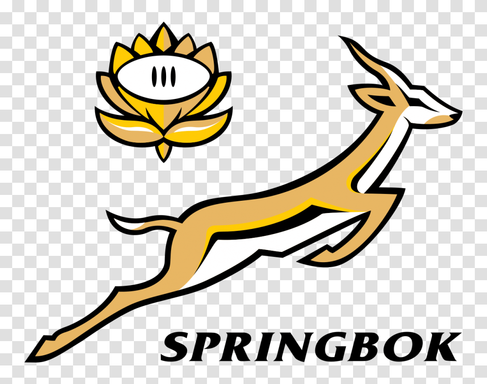 Head Clipart Springbok, Wildlife, Animal, Mammal, Gazelle Transparent Png