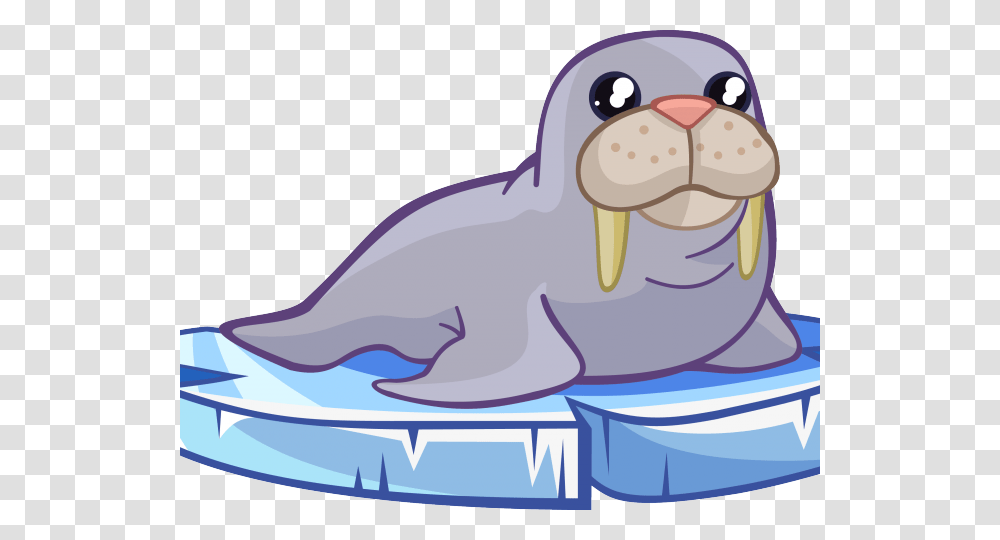 Head Clipart Walrus, Sea Life, Animal, Mammal Transparent Png