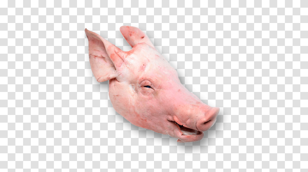 Head Cut Of Pork Image Head Cut Of Pork, Hog, Pig, Mammal, Animal Transparent Png