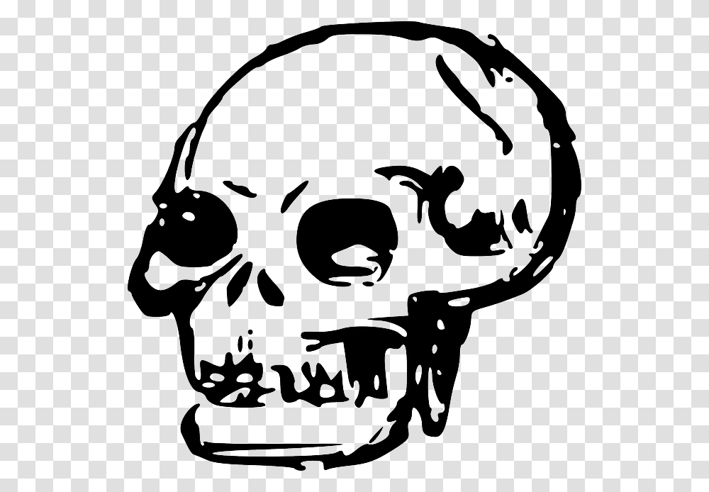 Head Dead Skull Human Bones Skulls Skull Clip Art, Stencil, Face Transparent Png