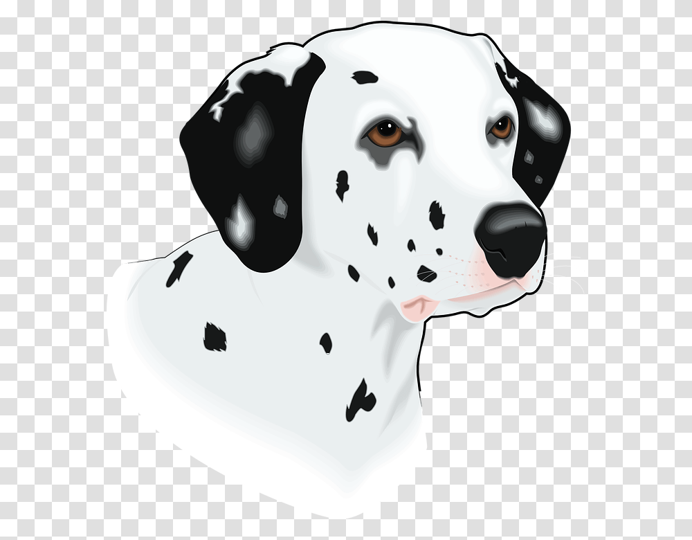 Head Dog Pet Animal Mammal Spots Breed Imagenes De Cabeza De Perro, Snowman, Winter, Outdoors, Nature Transparent Png