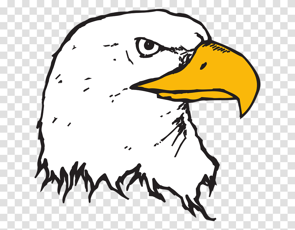 Head Eagle Bird Bald Beak Animated Bald Eagle Head, Animal, Blackbird, Agelaius Transparent Png