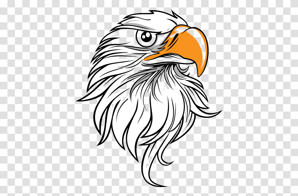 Head Eagle Clipart Explore Pictures, Bird, Animal, Bald Eagle, Beak Transparent Png
