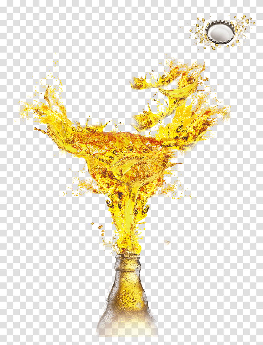 Head Glassware Hq Image Free Beer Bottle Splash Transparent Png