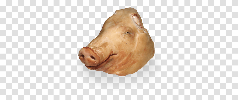 Head Linley Valley Pork Domestic Pig, Mammal, Animal, Hog, Figurine Transparent Png