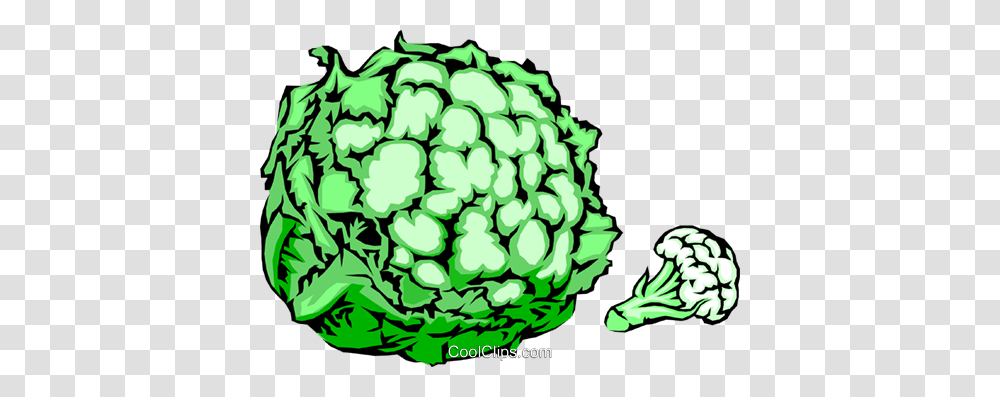 Head Of Cauliflower Royalty Free Vector Clip Art Illustration, Green, Plant, Vegetable Transparent Png