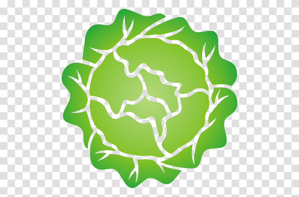 Head Of Lettuce Clipart For Web, Network Transparent Png