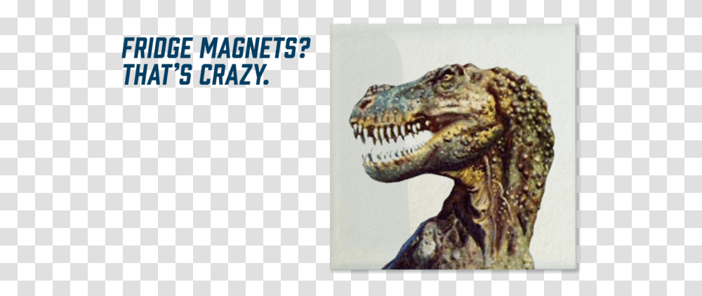 Head, Reptile, Animal, Dinosaur, T-Rex Transparent Png