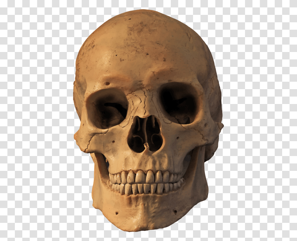 Head Skeleton Skull Clipart Skull Fire Hd, Helmet, Clothing, Apparel, Jaw Transparent Png