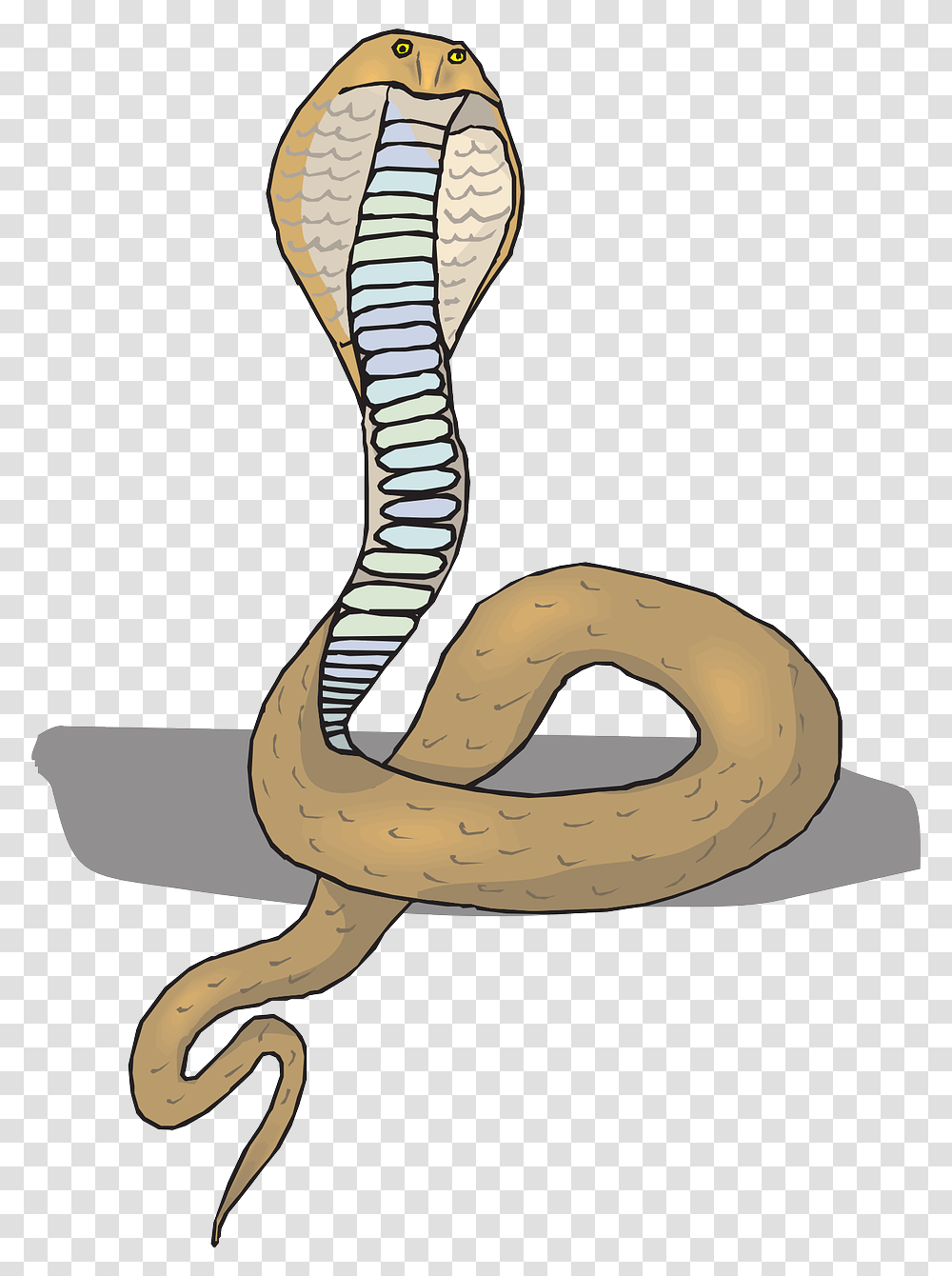 Head Snake Cobra Free Picture, Reptile, Animal, Banana, Fruit Transparent Png