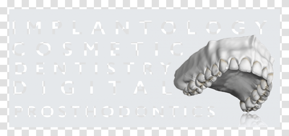 Headerfile Outline Cuts Paw, Hand, Holding Hands, Photography Transparent Png
