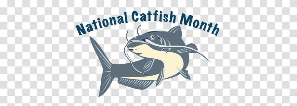 Health Benefits Of Catfish And Heartland Catfish Vendor Profile, Animal, Sea Life, Cod, Water Transparent Png