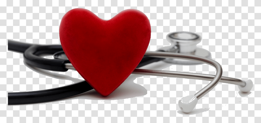 Health Care, Cushion, Heart, Plant, Flower Transparent Png