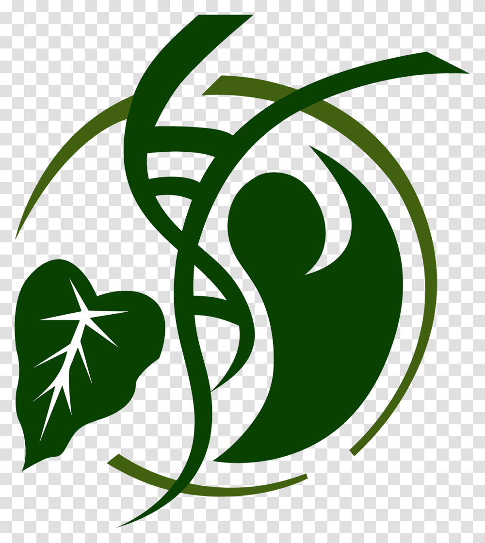 Health Clipart Background Design Medical Logo Background, Floral Design, Pattern Transparent Png