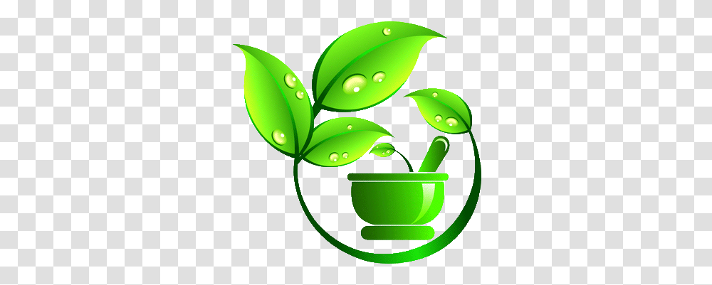 Health, Green, Leaf, Plant, Vase Transparent Png