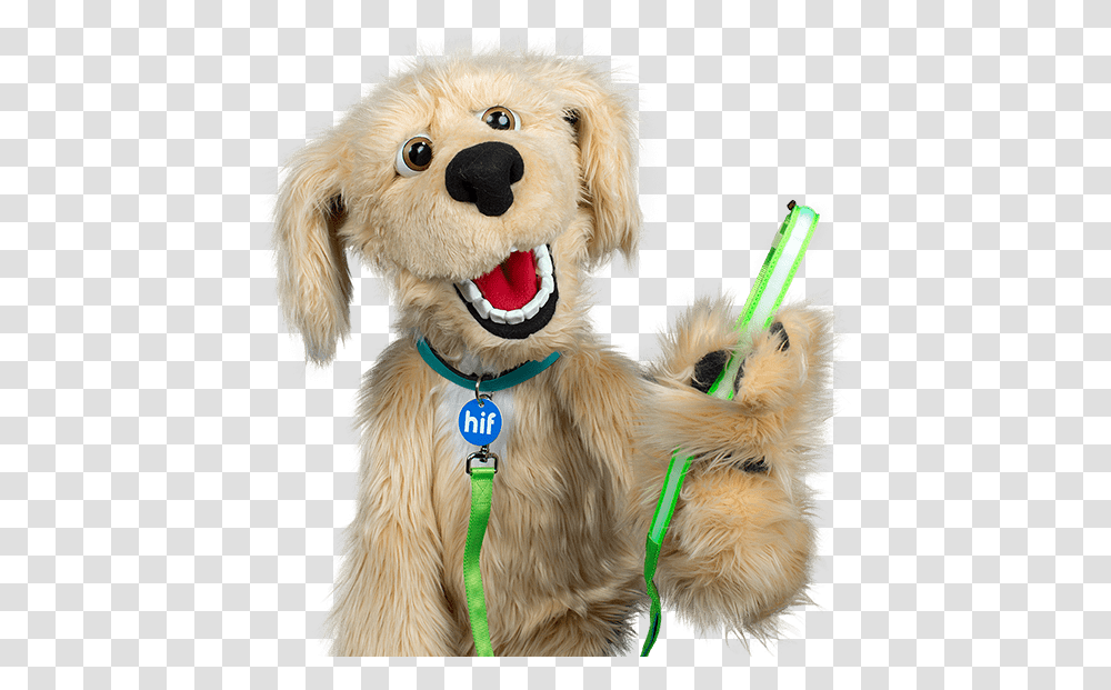 Health Insurance Fund Of Australia, Toy, Dog, Pet, Canine Transparent Png