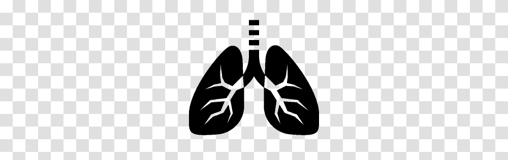 Healthcare Lungs Icon Windows Iconset, Gray, World Of Warcraft Transparent Png