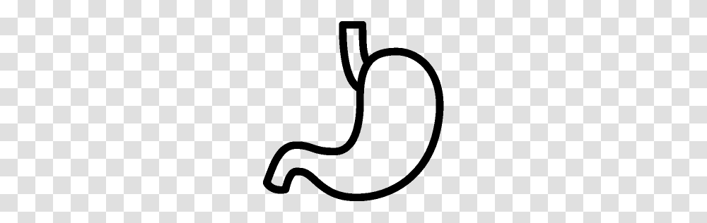Healthcare Stomach Icon Ios Iconset, Gray, World Of Warcraft Transparent Png